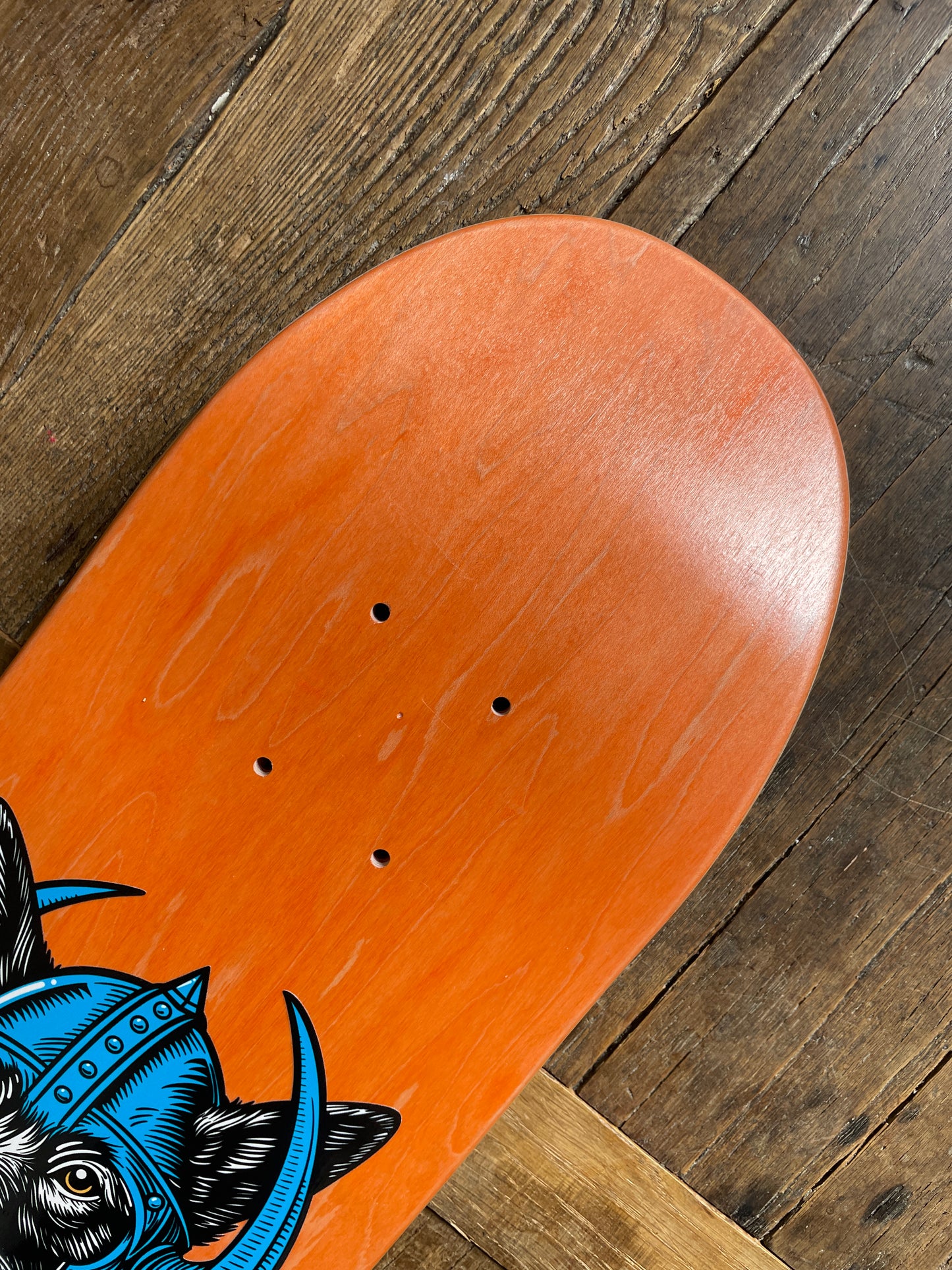Deck Again Cosmo 7.5” - Orange/Blue